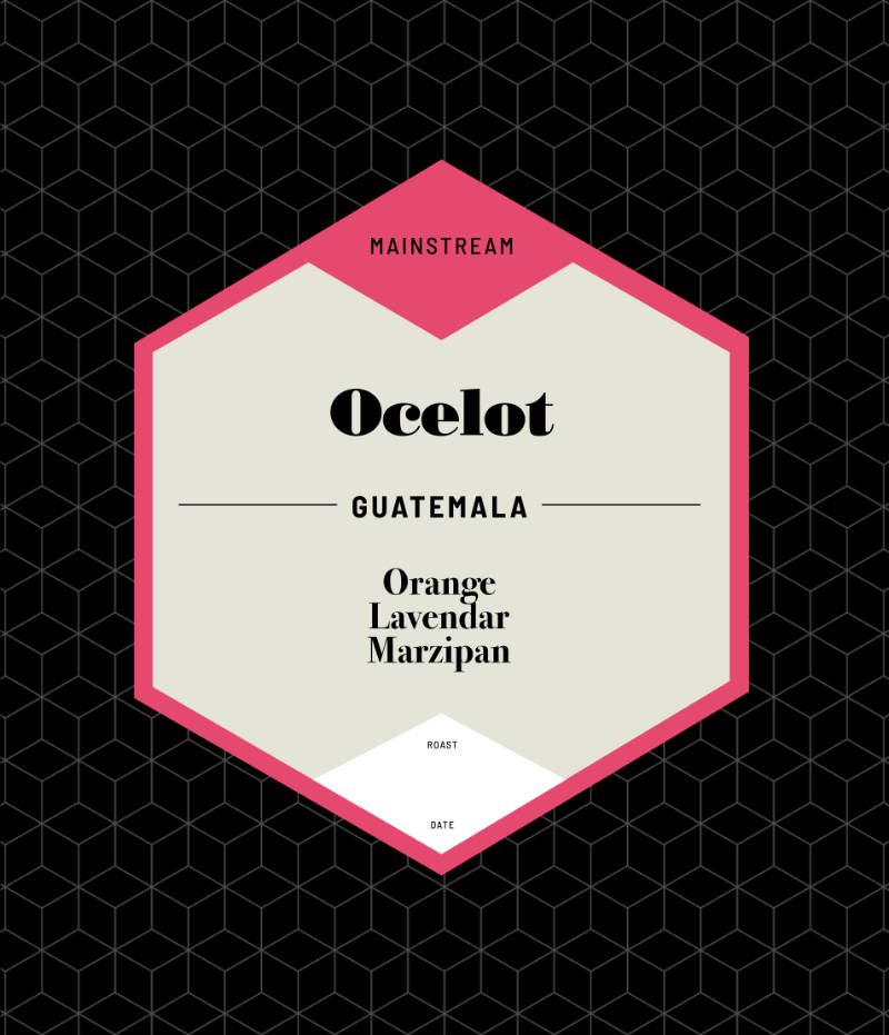 Ocelot Description - Orange, Lavender, Marzipan - Mainstream Genre